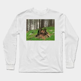 Old Tree Stump Long Sleeve T-Shirt